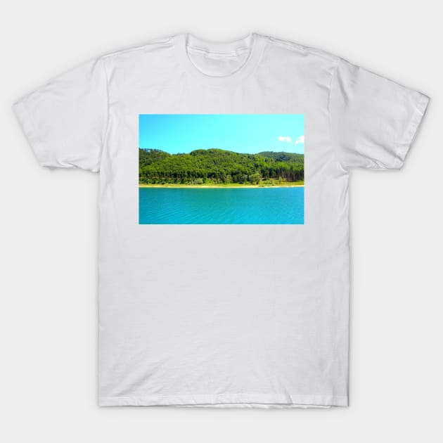 Scenery at Gerosa Lake with light blue waters rippling in front of the green shore T-Shirt by KristinaDrozd